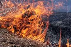 Чернівецька область: протягом вихідних виникло 19 пожеж, на одній із них травмовано людину