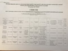 УКРОП серед лідерів за кількістю кандидатів від партії на виборах на Путильщині