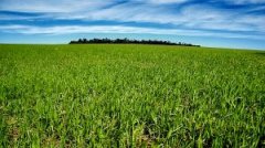 На Кіцманщині депутати районної ради своїм рішенням відмежували понад 470 га землі загальною вартістю 112 млн. грн.