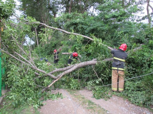Негода на Буковині повалила дерева, зірвала покрівлі, пошкодила газопровід