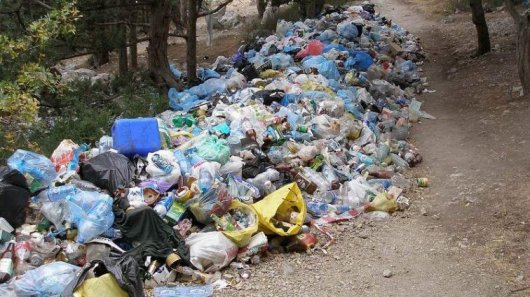 На Буковині  зупинили нелегальне завезення львівського сміття