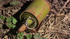 Піротехніки знищили артснаряд і дві ручні гранати у Боянах