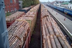 Експорт деревини через українсько-румунський кордон скоротився втричі