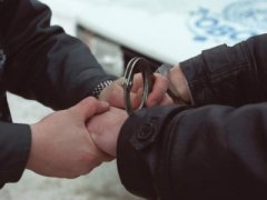  Сторожинецькі поліцейські викрили зловмисників, котрі обікрали господарство сусіда 