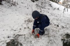 Путильський район: піротехніки знищили мінометну міну
