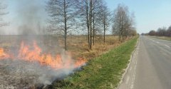 Рятувальники Буковини попереджають про спалювання трави 